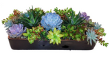 Things Nobody Tells You about Houseplants