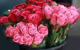 Your Ultimate Guide To Seasonal Wedding Flowers