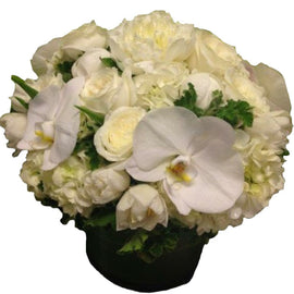 All White Arrangement - Beverly Hills Flower Gallery